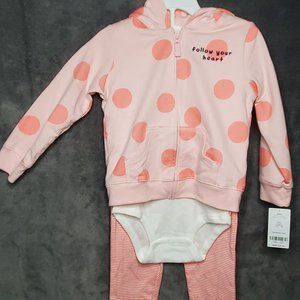 Carter's 3 Piece Girl Clothing Set